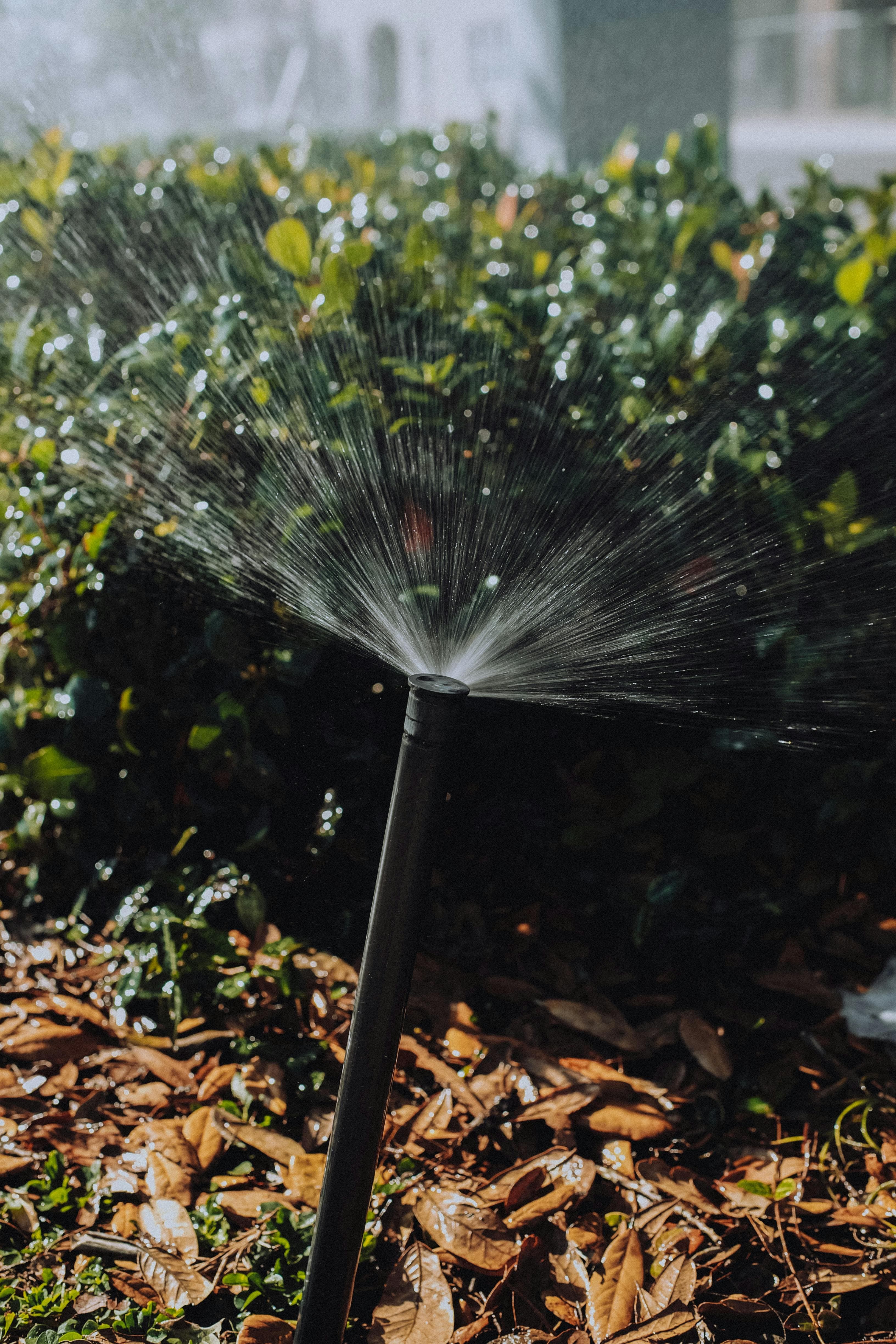 Irrigation sprinkler spraying water across landscape plants