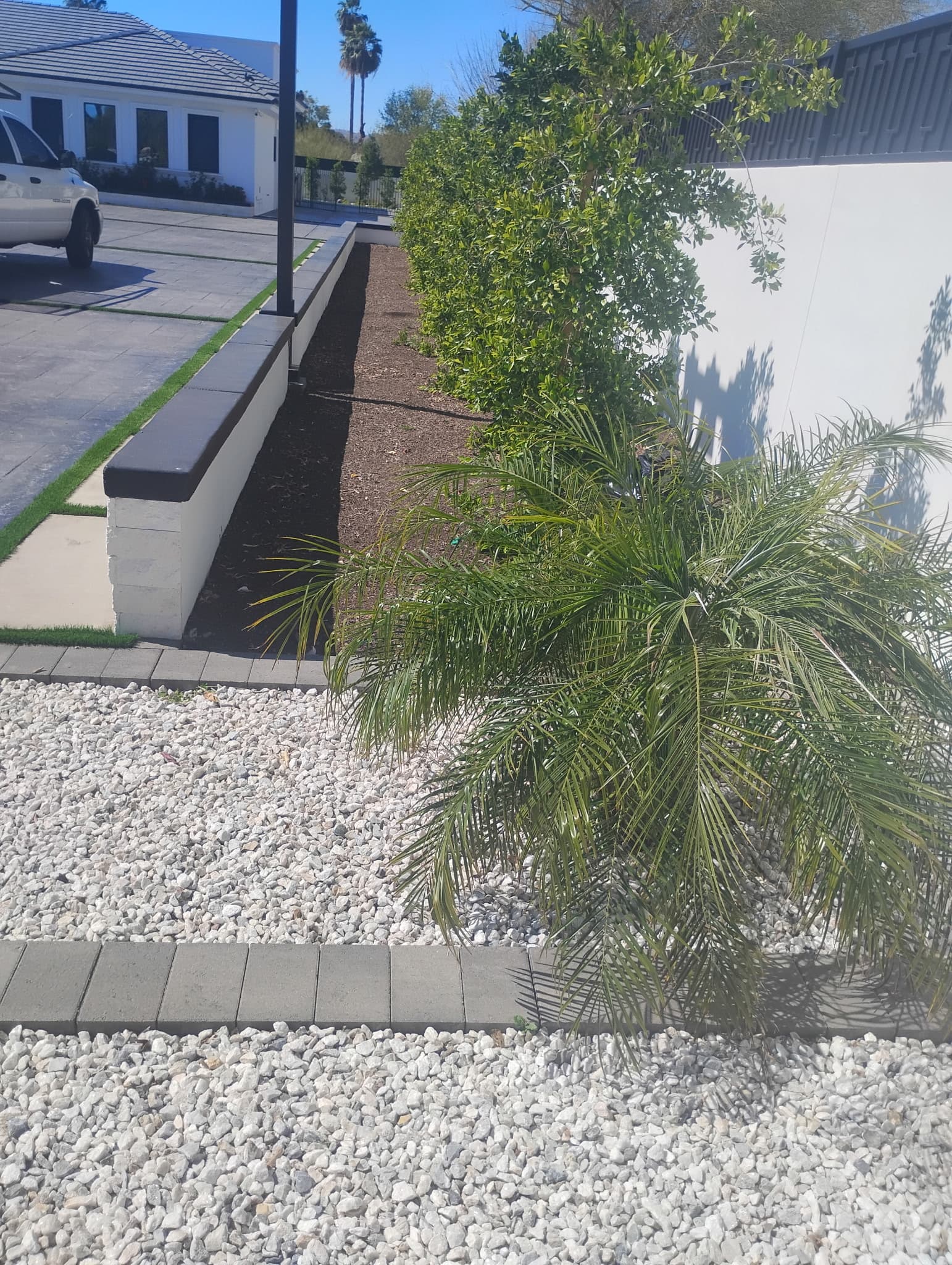 Driveway planting bed with palms, shrubs, white rock, and retaining wall