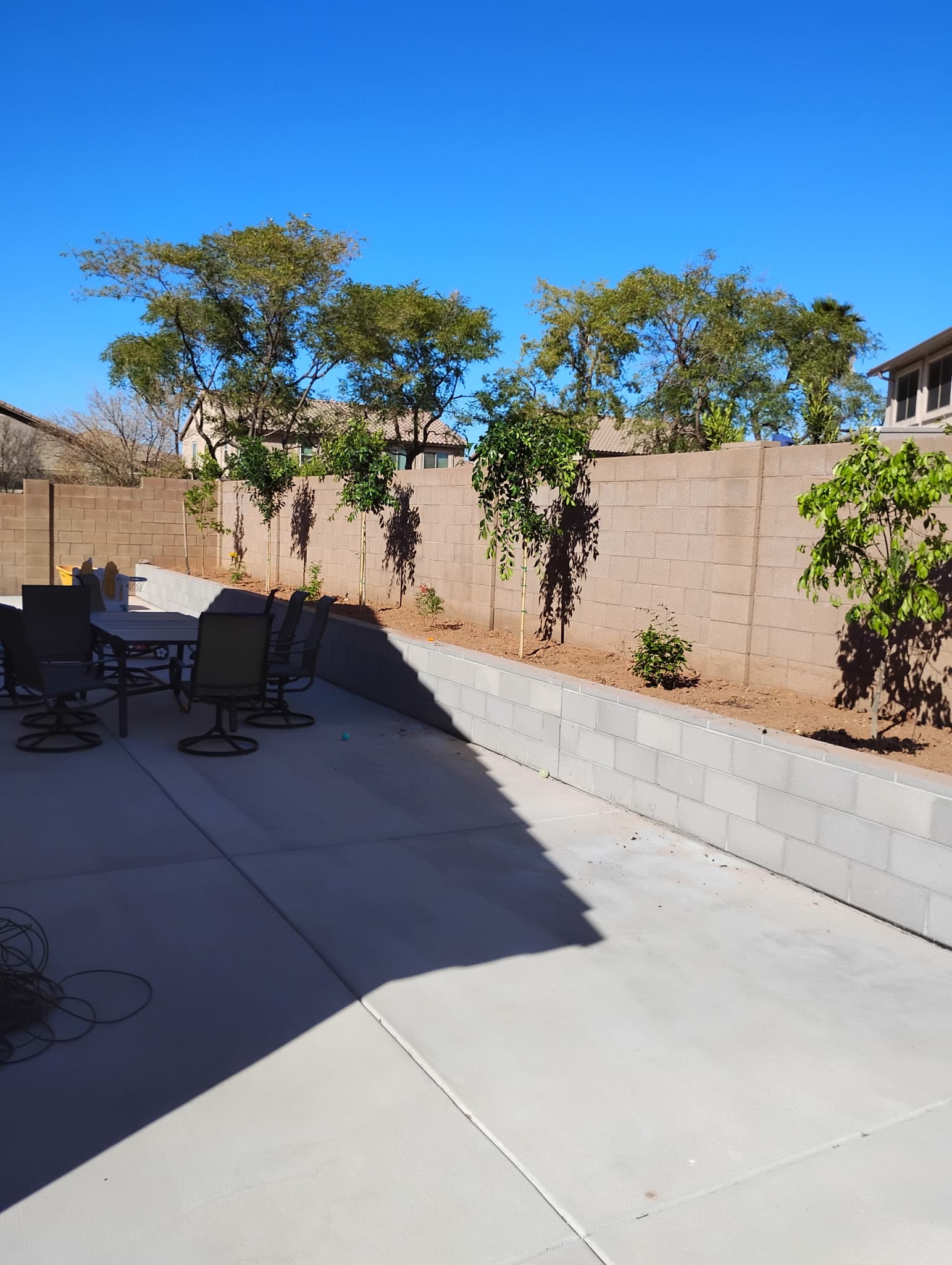 Raised backyard planter wall with newly planted trees